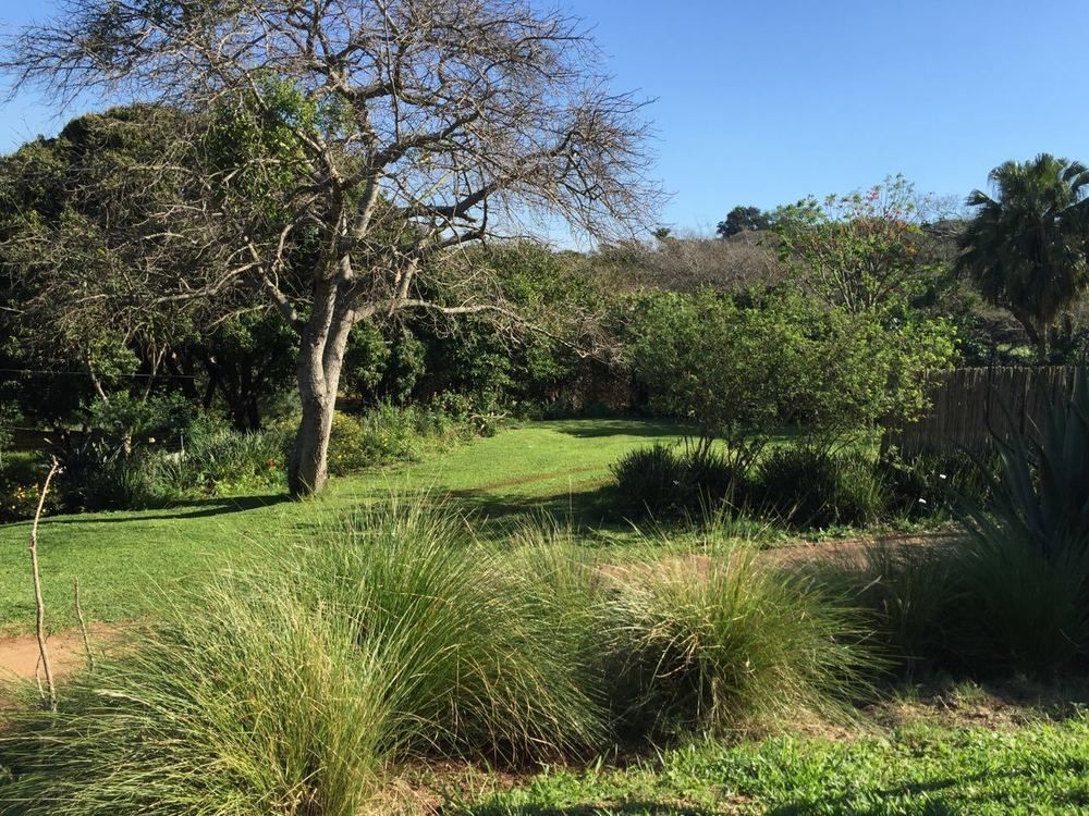 Ngoye Lodge Mtunzini Eksteriør billede
